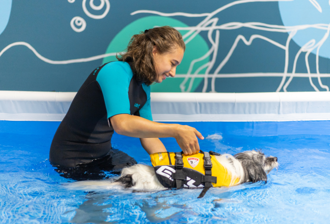 Idroterapia per cani in riabilitazione veterinaria