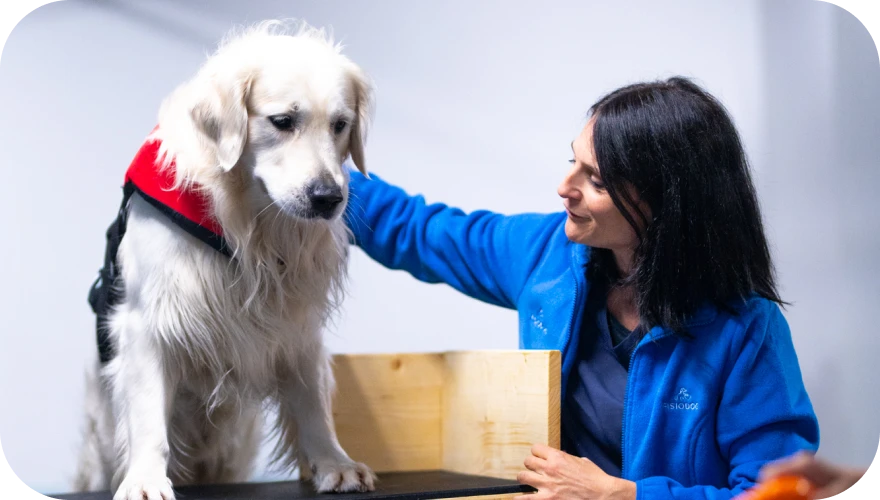 Percorso per cani timorosi