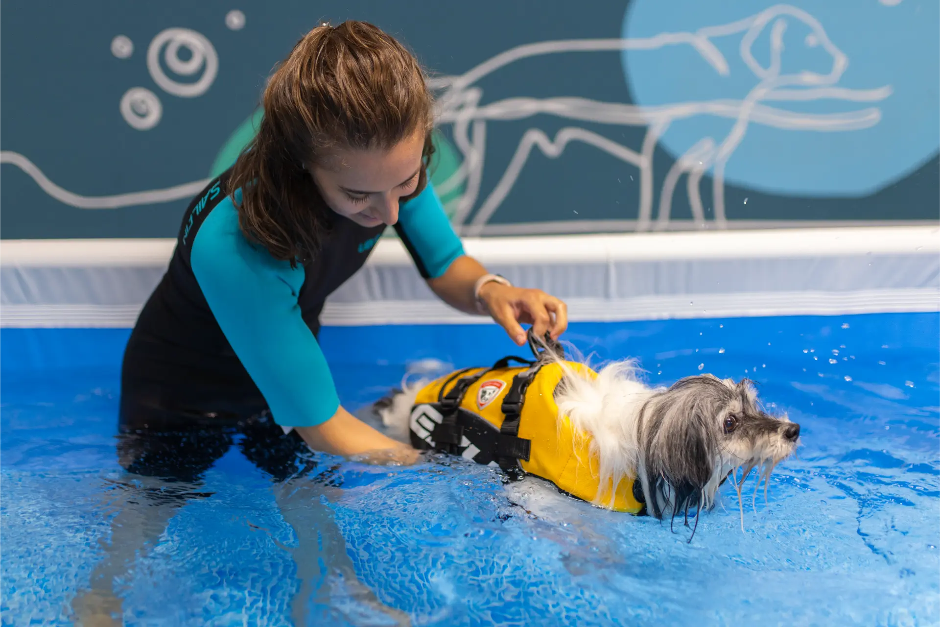 Piscina riabilitativa per cani